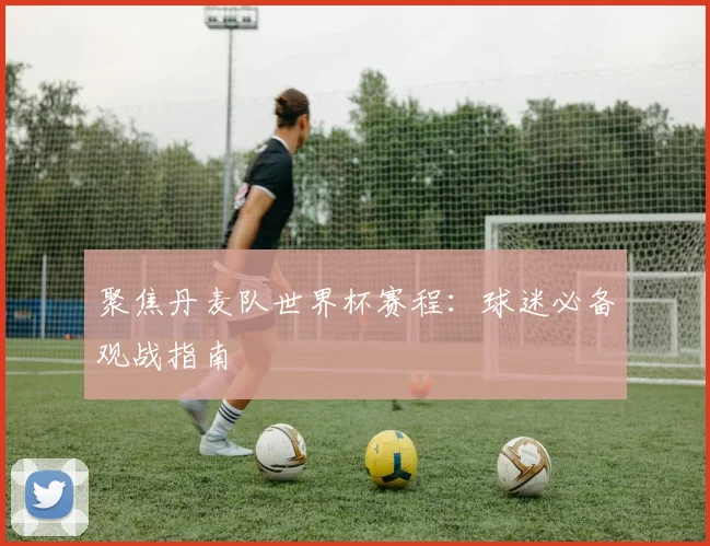 聚焦丹麦队世界杯赛程:球迷必备观战指南