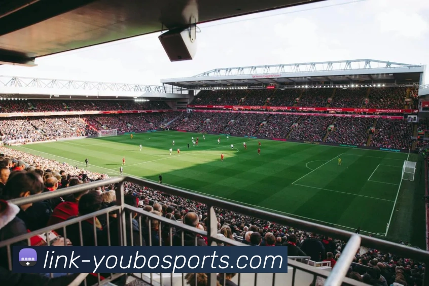 App Interface Preview